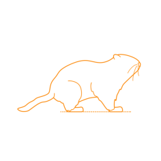 Animals Rodents Groundhog Woodchuck Sticker Svg Vector, Free Vectors File